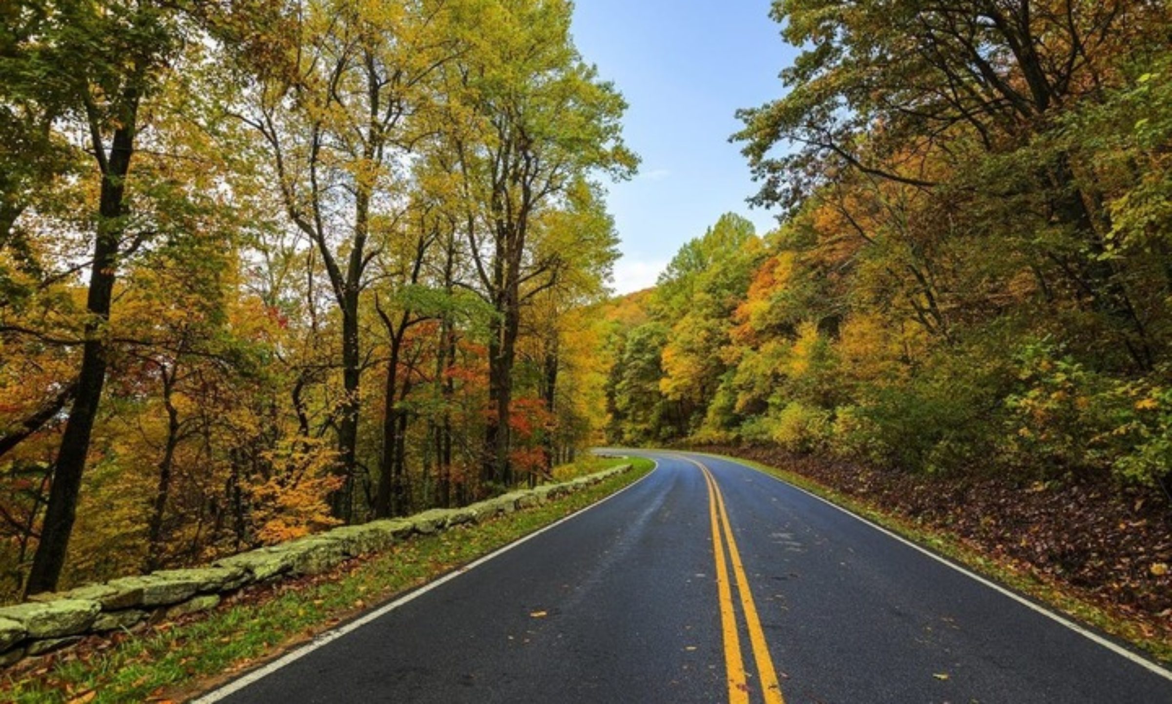 cropped-fall-road-image-website.jpeg